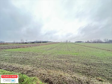 działka na sprzedaż 5800m2 działka Gnojno, Kostera