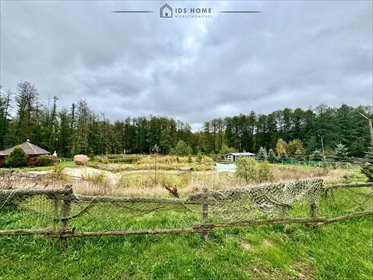 lokal użytkowy na sprzedaż 710m2 lokal użytkowy Stary Gaj