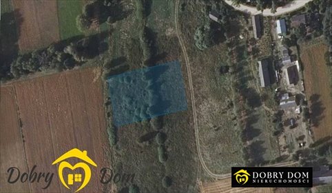 działka na sprzedaż 2900m2 działka Kruszyniany