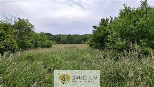 Działka 1200 m2 z mediami pod dom w Buszkowym działka Buszkowy Górne, Leśna Góra