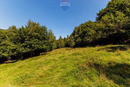 działka na sprzedaż 4931m2 działka Międzybrodzie Żywieckie