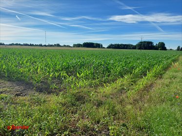 Działka budowlana 1071 m² w Hucie Palędzkiej - polecam działka Huta Palędzka