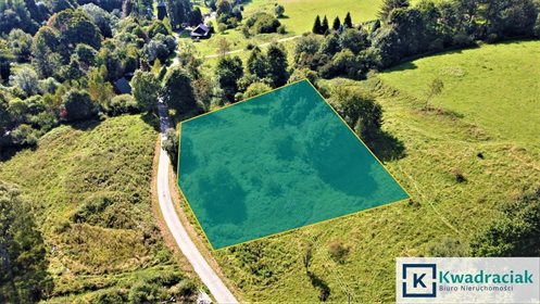 Działka przemysłowo-handlowa na sprzedaż Chyrowa 2 000m2 Foto 4