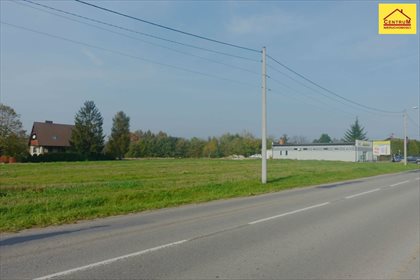 Działka inna pod dzierżawę Wodzisław Śląski, Czarnieckiego 4 321m2 Foto 2