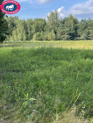 działka na sprzedaż 1200m2 działka Budy Mszczonowskie