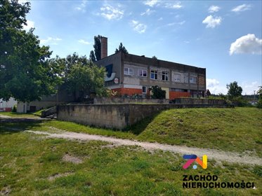 Inwestycyjny lokal 2766 m2 z dużym potencjałem lokal użytkowy Łęknica