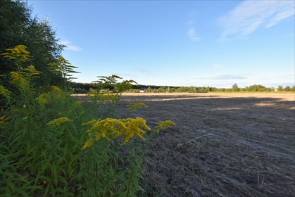 Działka budowlana na sprzedaż Borkowice 1 200m2 Foto 4