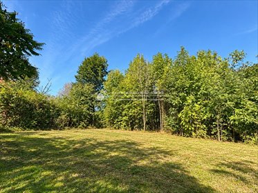 Sprzedam działkę 1204 m² w Buczkowicach z MPZP działka Buczkowice