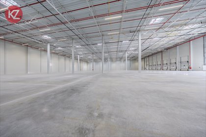 magazyn na wynajem 6376m2 magazyn Piła, Motylewo, Jastrzębia