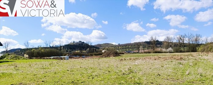 działka na sprzedaż 1550m2 działka Czarny Bór