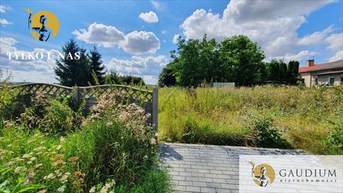 Działka budowlana na sprzedaż Gnojewo 1 000m2 Foto 4