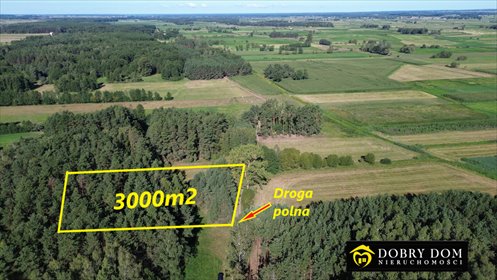 Sprzedam działkę leśno-rolną 3000 m² w Złotorii działka Złotoria