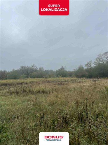 działka na sprzedaż 4200m2 działka Mińsk Mazowiecki