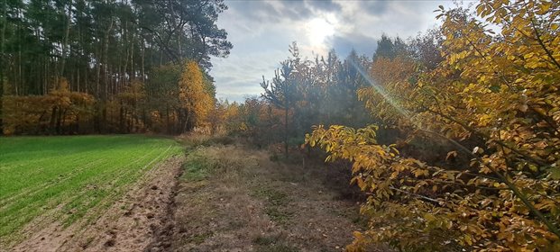 działka na sprzedaż 30060m2 działka Stary Strachocin