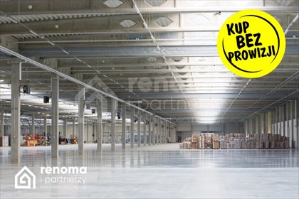Hala produkcyjna 950 m² z magazynami i biurami polecam lokal użytkowy Koszalin
