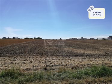 Działka rolna na sprzedaż Milikowice 19 400m2 Foto 1