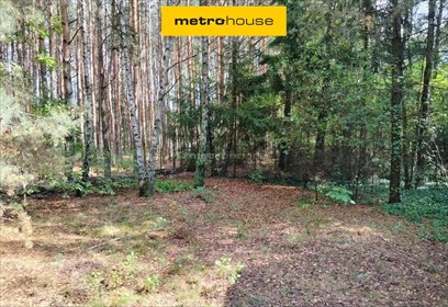 działka na sprzedaż 920m2 działka Lipowo