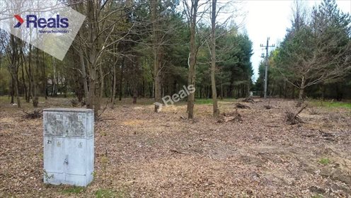 Działka budowlana na sprzedaż Komorów 2 000m2 Foto 4