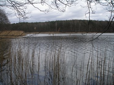 działka na sprzedaż 1165m2 działka Chłopowo