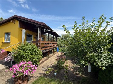 Działka ROD 310 m² z domkiem i tarasem - zapraszam działka Chojnice, Kościerska