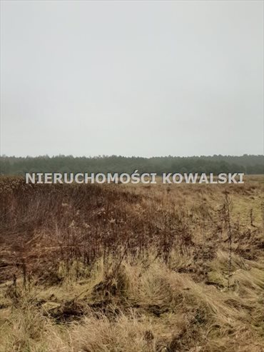 Działka rekreacyjna na sprzedaż Zarośle Cienkie 3 281m2 Foto 5
