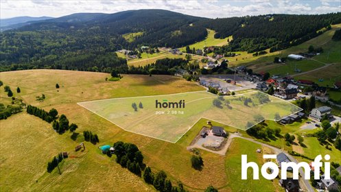 Zapraszam do zakupu działki 29 900 m² w Zieleniec z dużym potencjałem działka Duszniki-Zdrój, Zieleniec