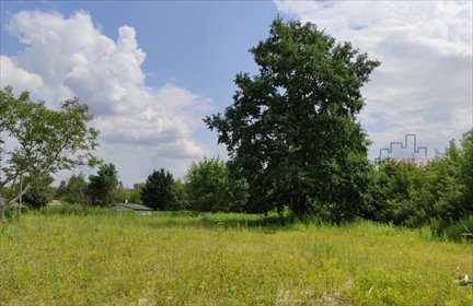 Działka budowlano-usługowa 2300 m² w Mikówcu z mediami działka Mikówiec