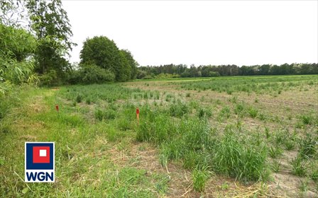 Działka budowlana 867 m² w spokojnej okolicy Rososzycy działka Rososzyca, Rososzyca