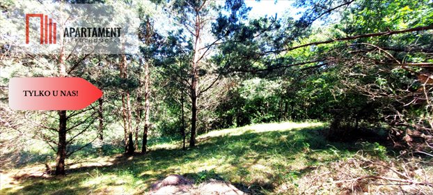 działka na sprzedaż 3581m2 działka Trzebciny