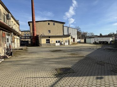 Magazyn na sprzedaż w Prudniku - polecam magazyn Prudnik, Prężyńska
