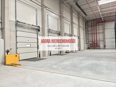 Magazyn klasy A 2443 m² z biurem, Balice polecam magazyn Balice