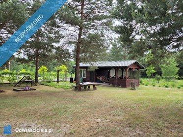 Do sprzedania działka z domkiem 955 m² w Okunince działka Okuninka, Leśniczówka