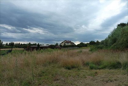 Działka rolna na sprzedaż Warszawa, Ursynów, Pyry, Sarabandy 117A 4 963m2 Foto 3