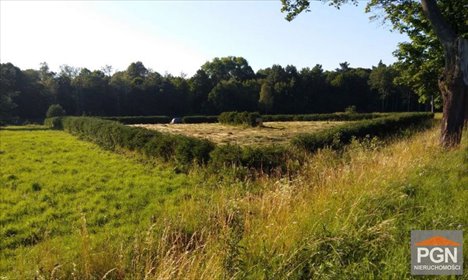 działka na sprzedaż 22000m2 działka Trzebiatów