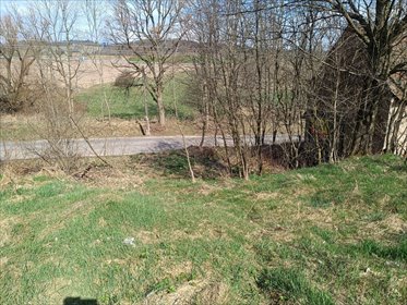 Działka inwestycyjna 5179 m² z murowaną stodołą polecam działka Gostków