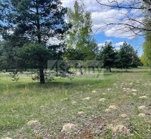 Działka budowlana 1235 m2 z mediami w Ojrzanowie. działka Ojrzanów
