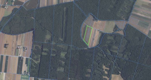 Działka budowlana 6538 m² z MPZP - zapraszam działka Nasiechowice