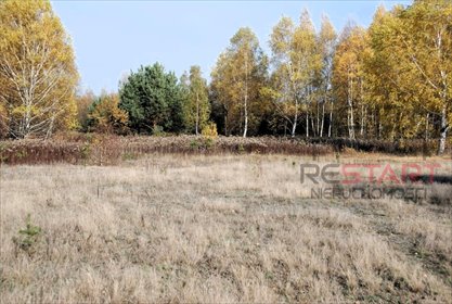 działka na sprzedaż 1200m2 działka Wojcieszyn