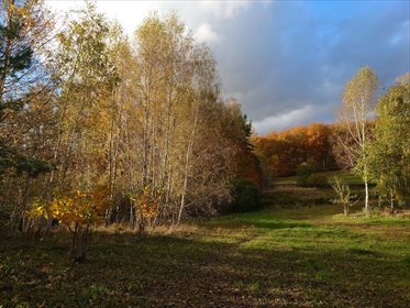 dom na wynajem 240m2 dom Jeleńska Huta, Jezioro, Las, Tereny rekreacyjne, Otalżyńska
