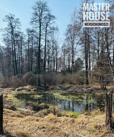 działka na sprzedaż 10000m2 działka Ostrowiec Świętokrzyski, Stawki Denkowskie