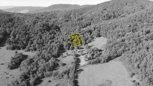 działka na sprzedaż 1000m2 działka Uście Gorlickie, Wysowa-Zdrój