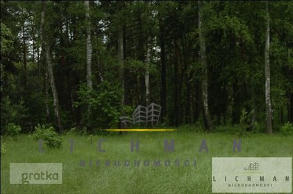 Działka leśna 5409 m² w Kwiatkowicach Las. działka Kwiatkowice-Las