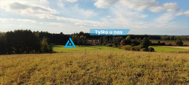 działka na sprzedaż 74900m2 działka Tągowie