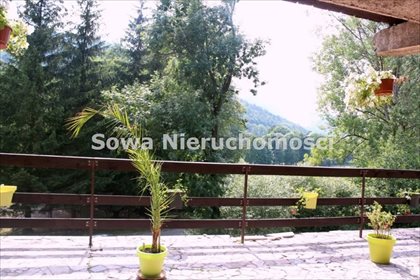 Działka budowlana na sprzedaż Wojcieszów 16 349m2 Foto 2