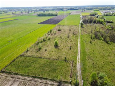 Polecam działkę 3000 m² pod zabudowę w Budy Ciepielińskie działka Budy Ciepielińskie