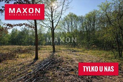 Działka Kajetany 2474 m² z lasem i prywatnością działka Kajetany