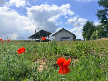 Nowoczesny dom 110 m² z poddaszem, fotowoltaiką i dużą działką dom Gołkówko, Gołkówko