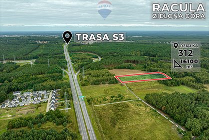 działka na sprzedaż 16100m2 działka Zielona Góra, Racula-Grabowa