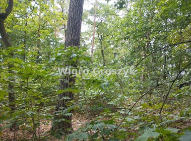 działka na sprzedaż 1200m2 działka Józefów, Centrum, Długa