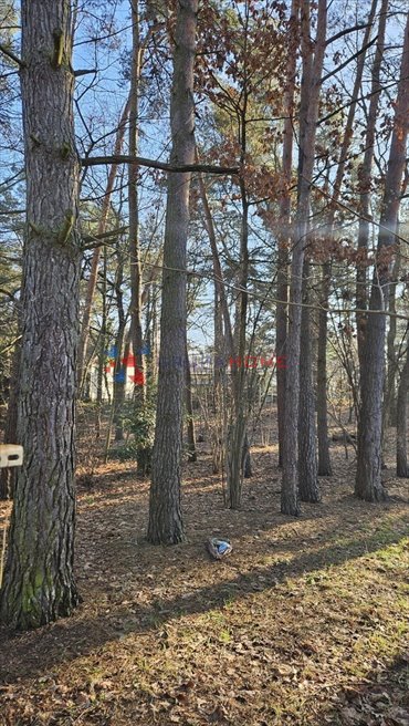 Działka budowlana na sprzedaż Piaseczno, Zalesie Dolne 1 352m2 Foto 3